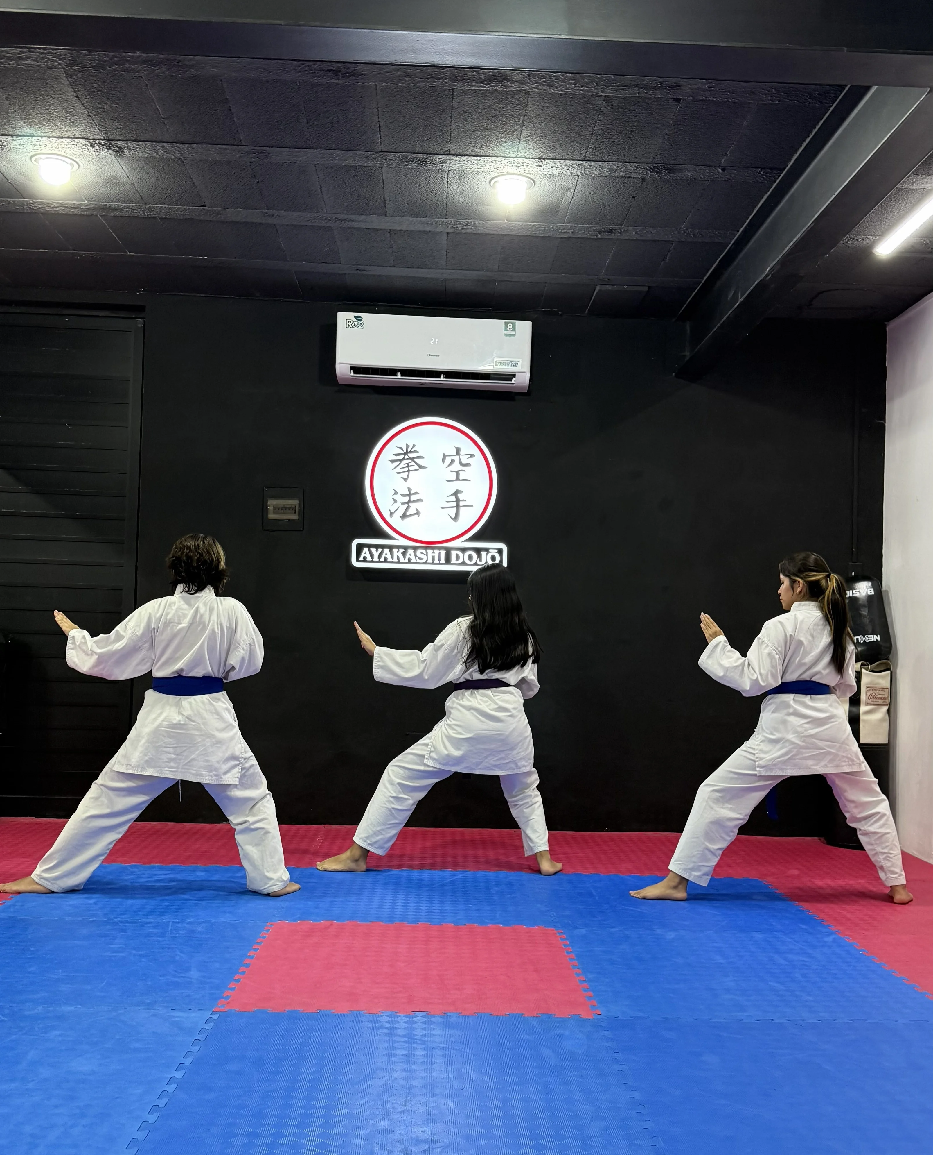Karate Adolescentes